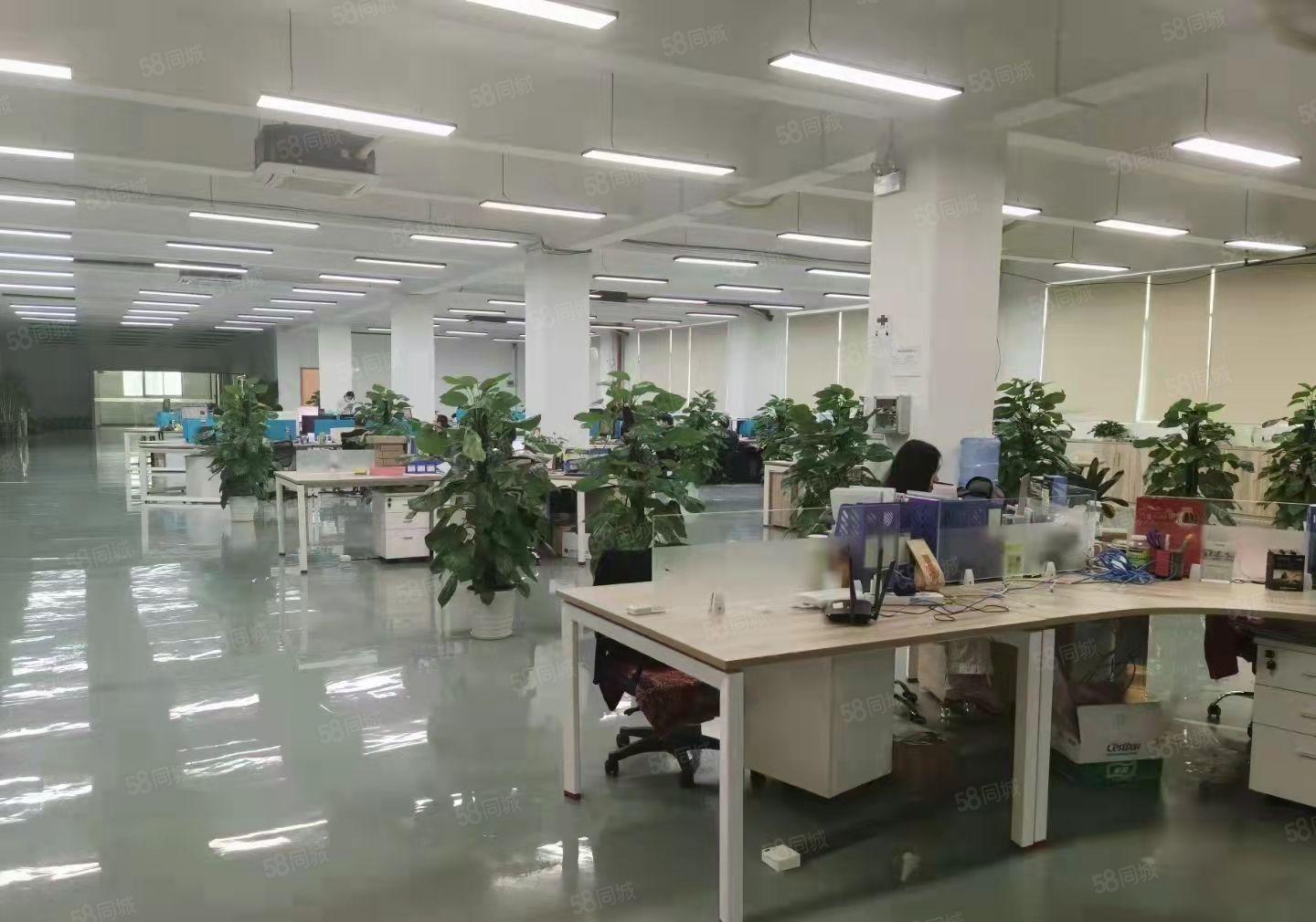 平湖华南城地铁口500至2000平方精装修办公室厂房出租分租