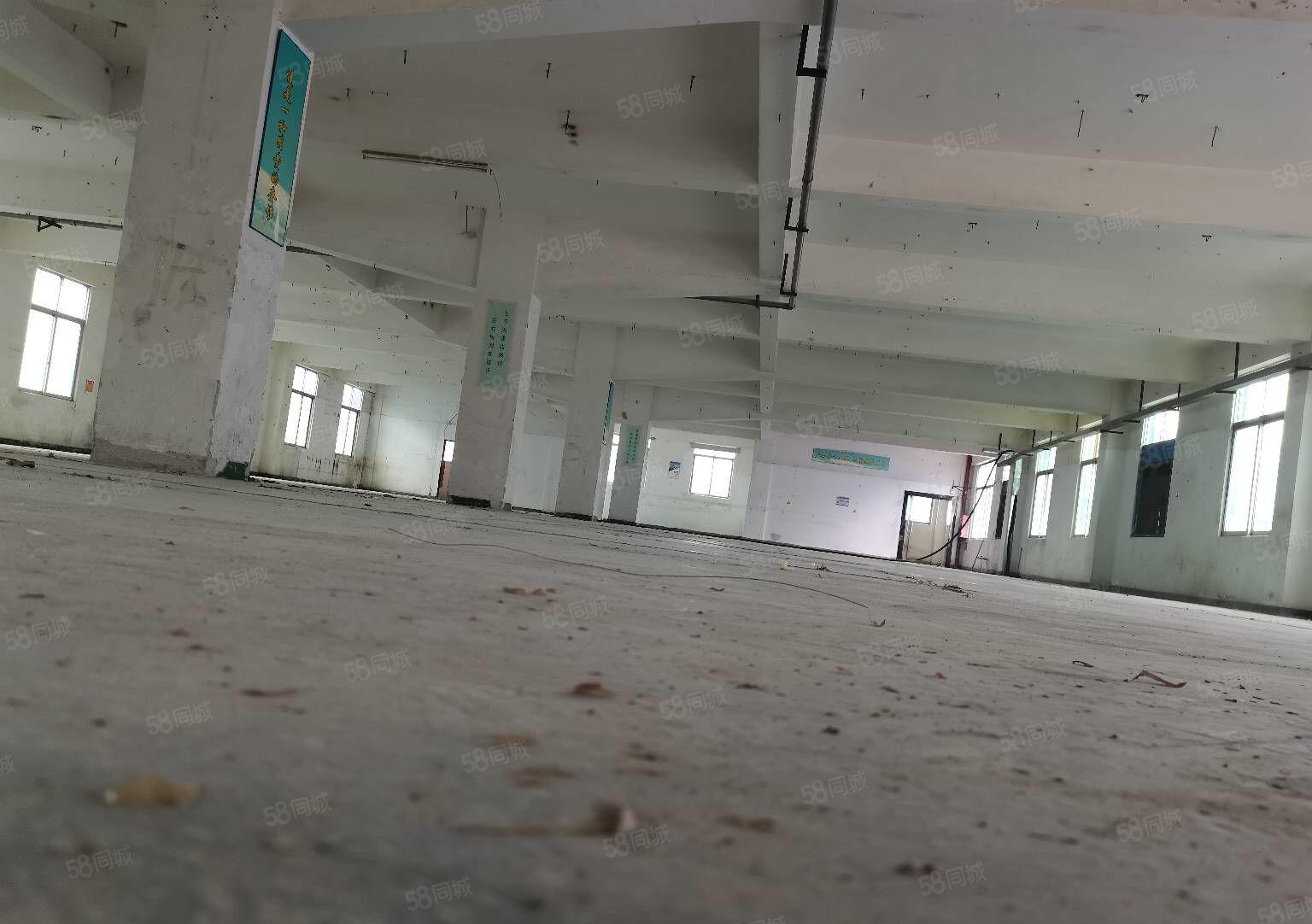 200平起租横岗5500平原房东精装修 厂房出租 大小可分租