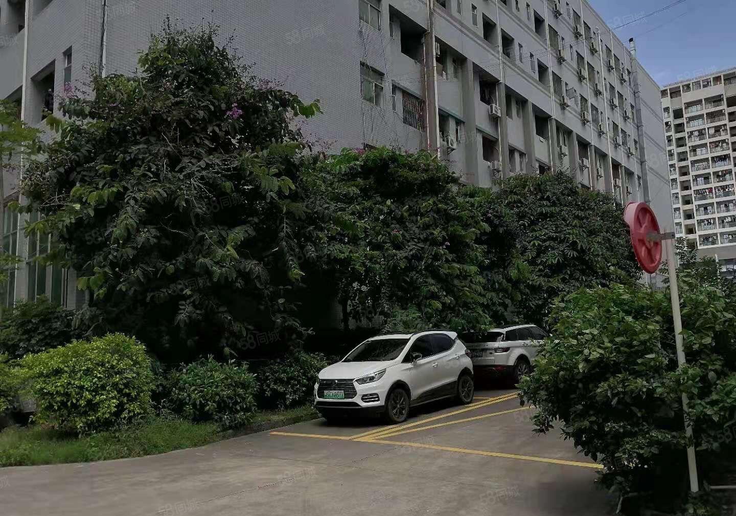 700平方龙岗坪地低价原房东精装修标准厂房出租！