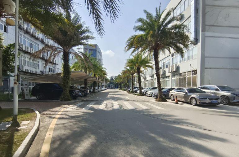 实际面积出租龙岗宝龙原房东高新科技园4000平方厂房仓库出租