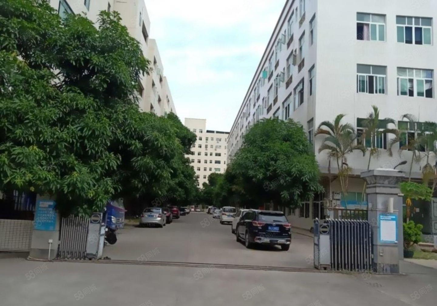 龙岗南联主干道旁800平电商仓库  200平起租公摊小价格低