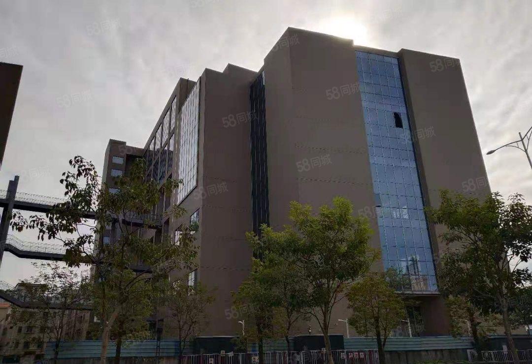 35元一楼龙岗红本独院26000平商业厂房出租每层高16米