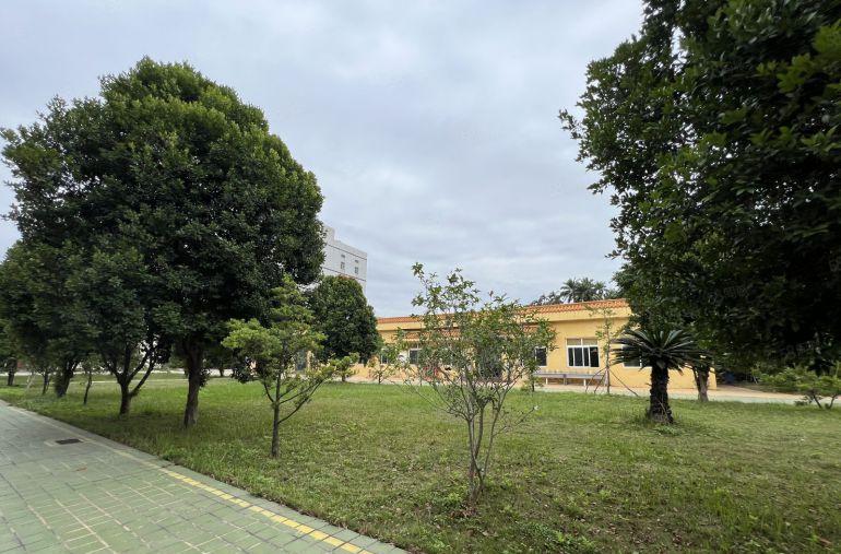 横岗地铁口花园式红本厂房2600平出租大小可分租形象好空地大