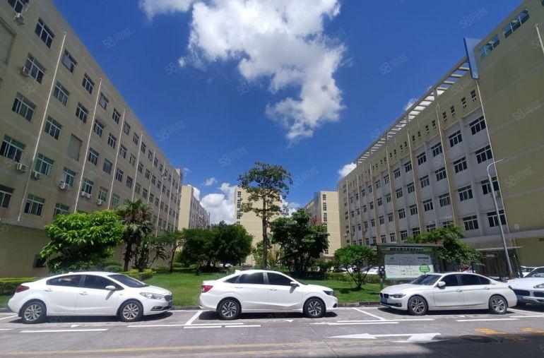 宝龙大型科技园新出一楼1000平方全新装修厂房出租