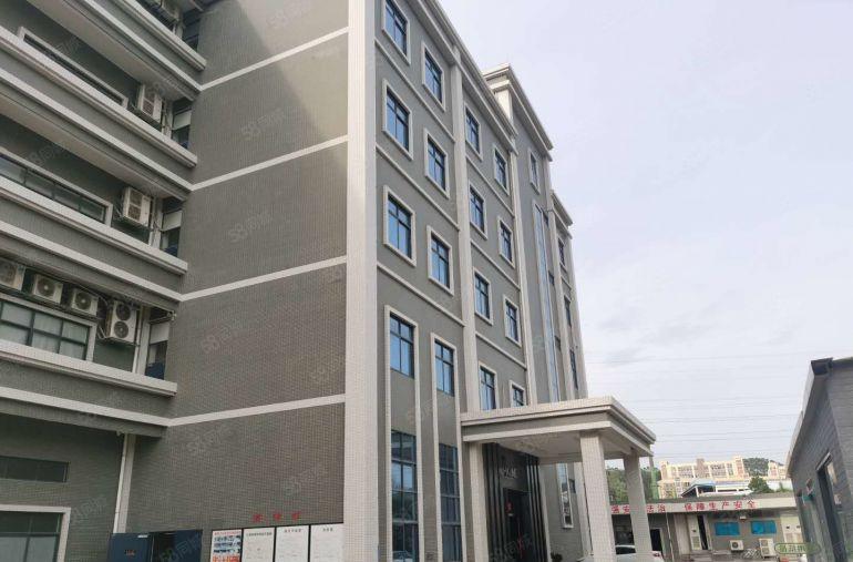 龙岗嶂背二楼全新装修700平厂房仓库可整租可分租