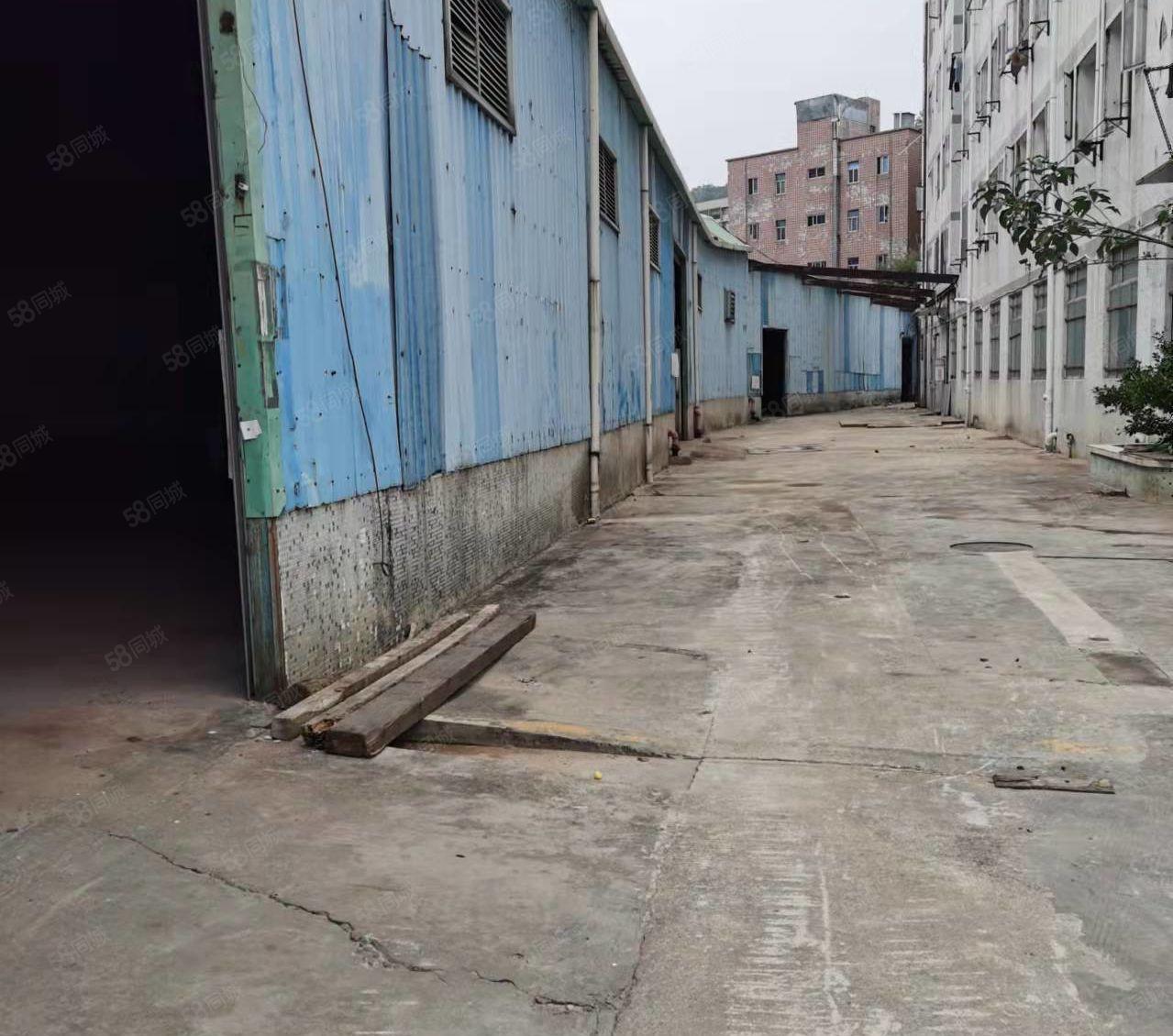 横岗地铁口8米高厂房招租横岗业主高速出口8米高钢构厂房招租