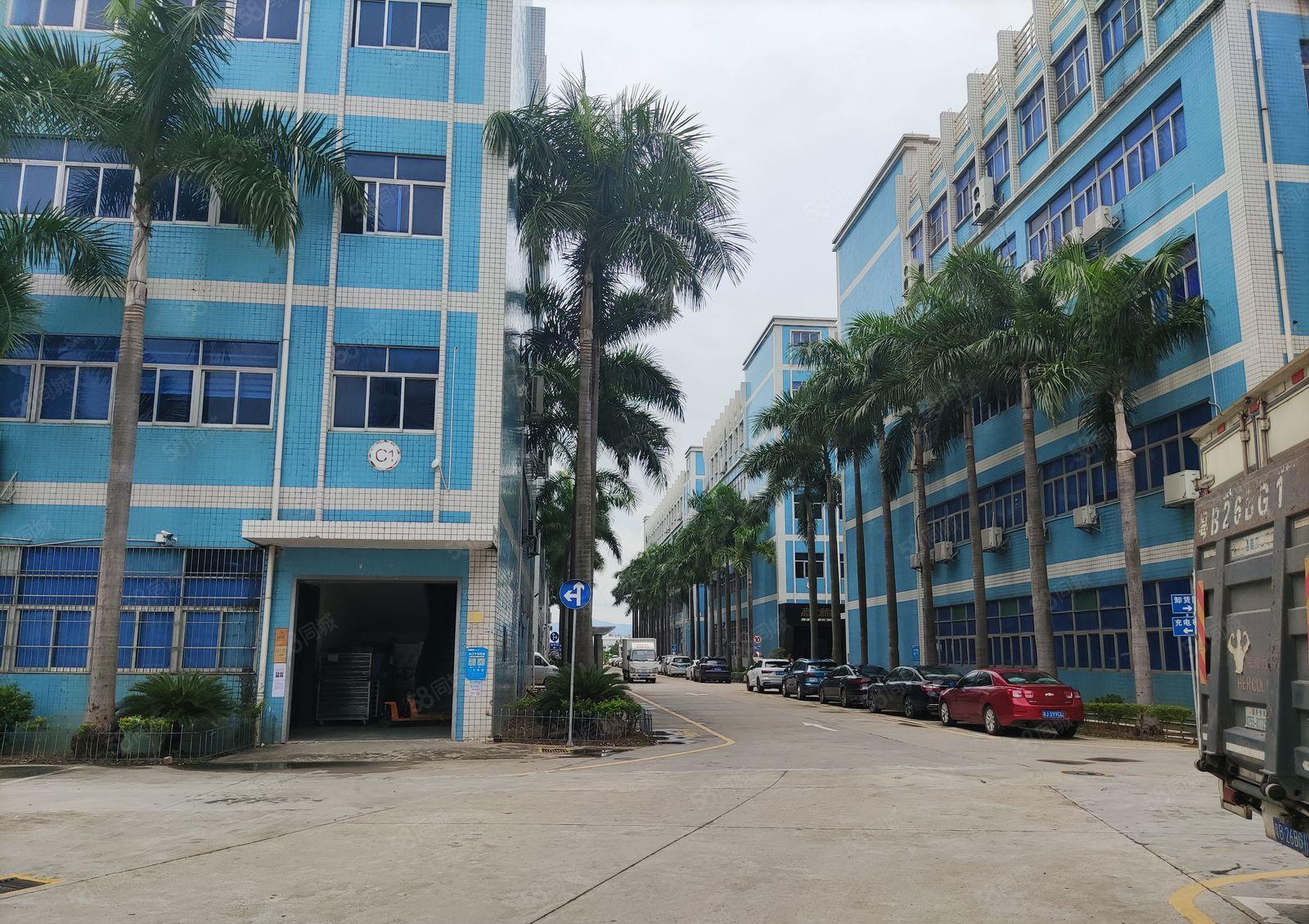 龙岗中心城原房东红本厂房仓库出租一楼2000平方