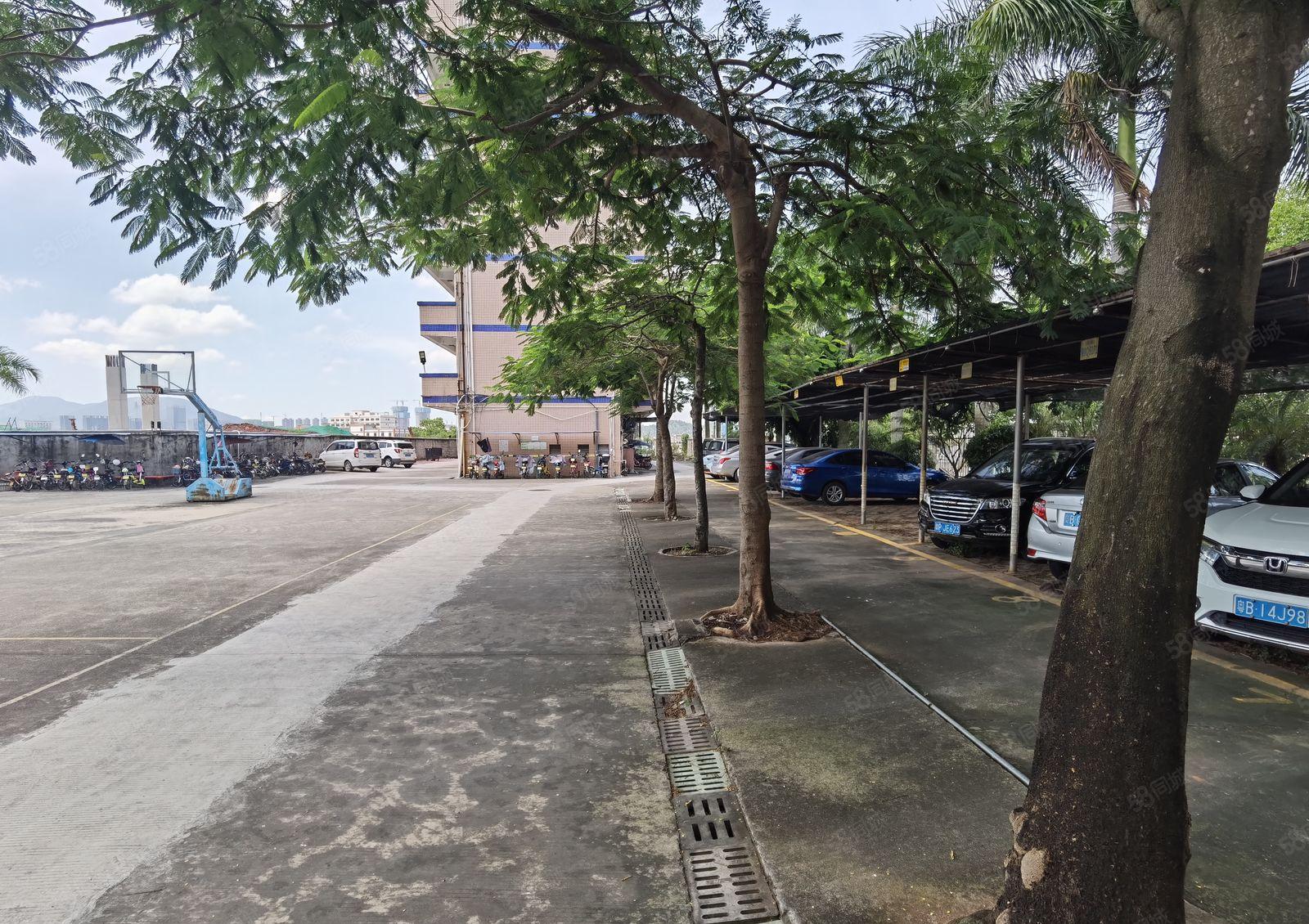 南联红本独院5000平原房东厂房出租合租！1000平起租低价