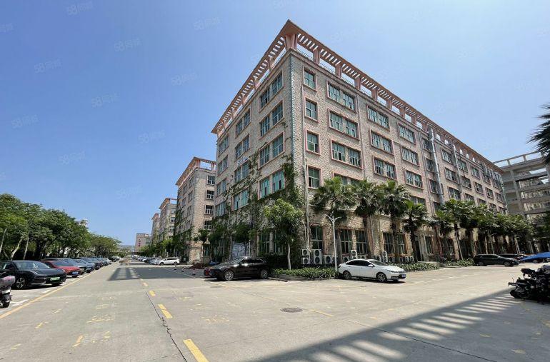 同乐工业园区原房东红本1楼1000平方带装修水电齐大小可分租