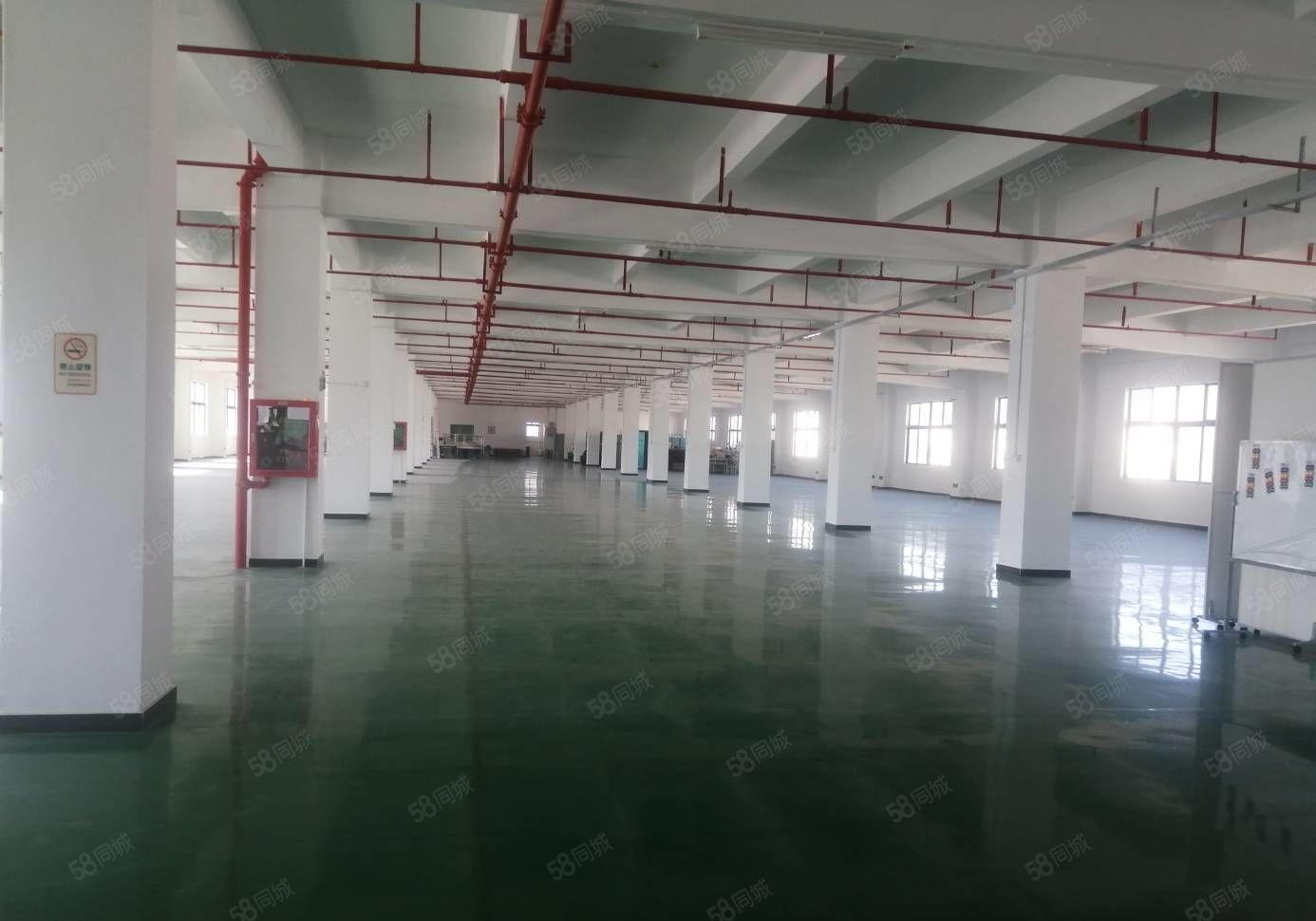 300平起租同乐原房东独门独院6500平精装修全新地坪漆厂房