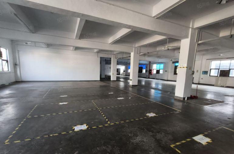 房东直租0押金龙岗新生厂房出租仓库出租 20元新装修送免租