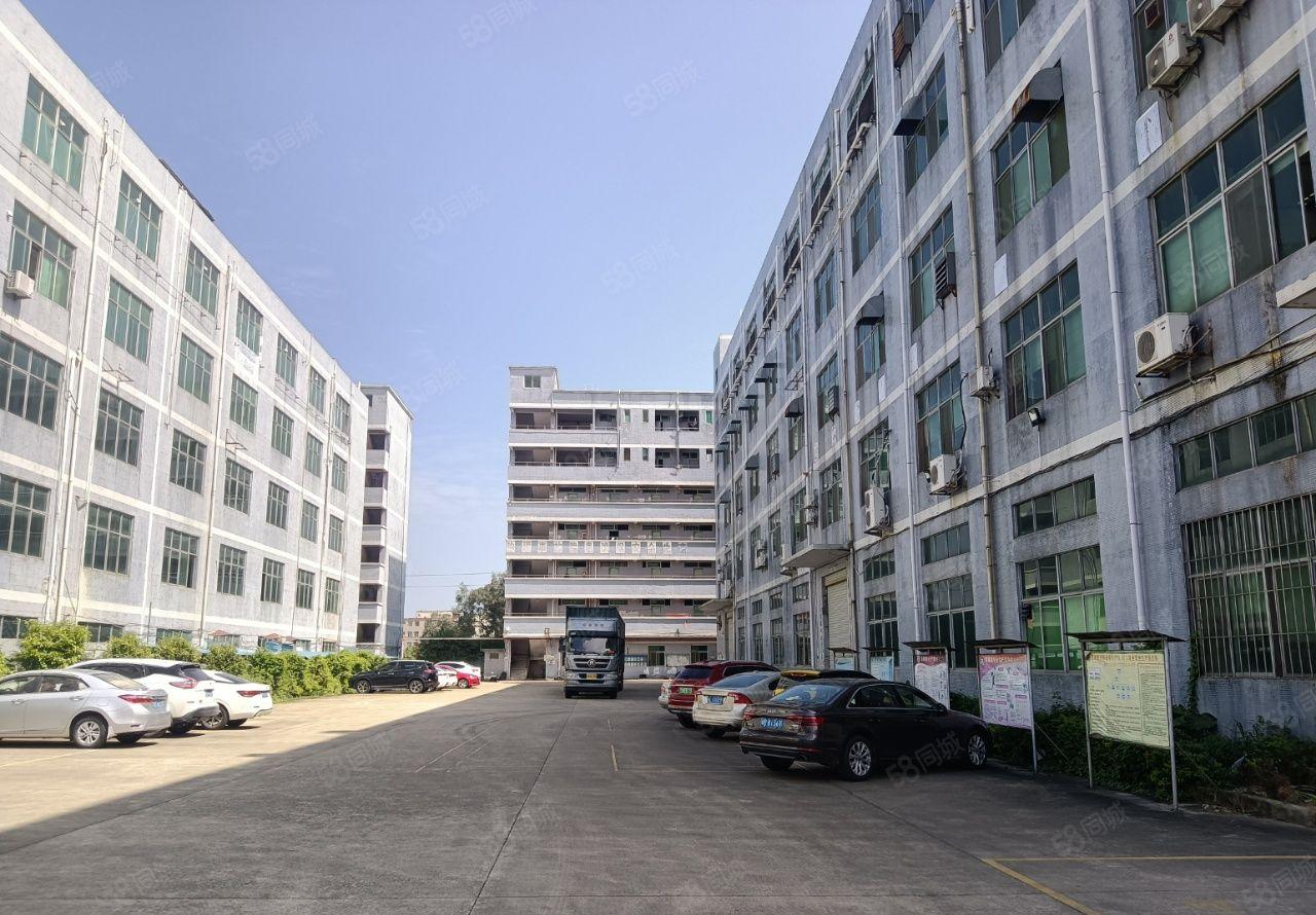 坪地中心村原房东独院厂房13000平方带精装修厂房出租可分租