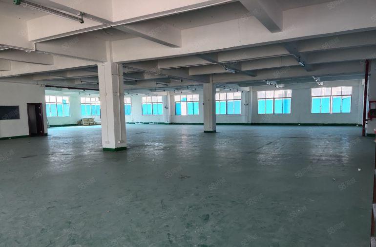 坂田上雪电商园原房东楼上2000平厂房出租红本厂房可办环评