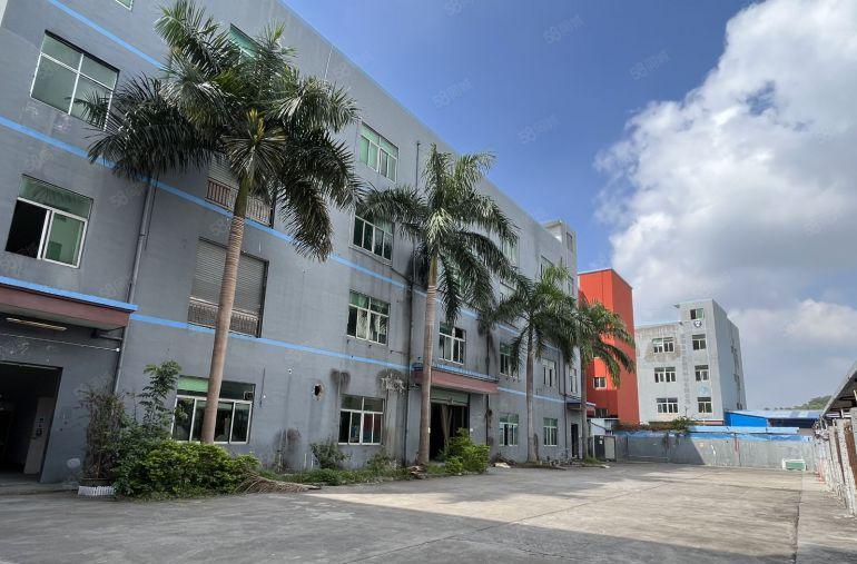 横岗 六约 楼上 500平 精装修 办公室仓库厂房出租