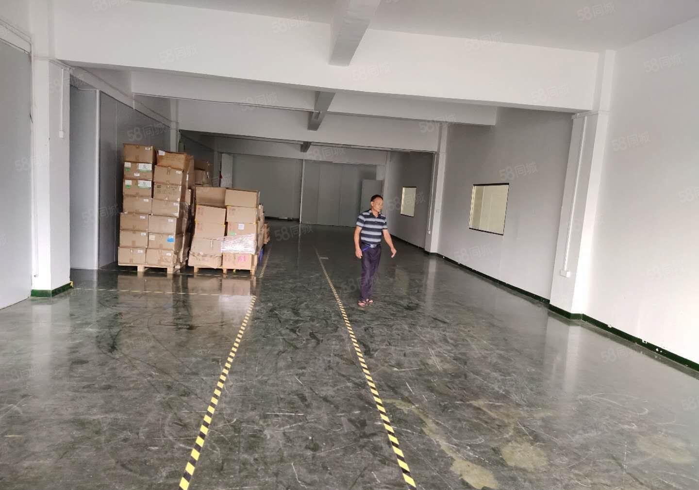 爱联南联 龙西五联 同乐 龙东宝龙300到30000平厂房分