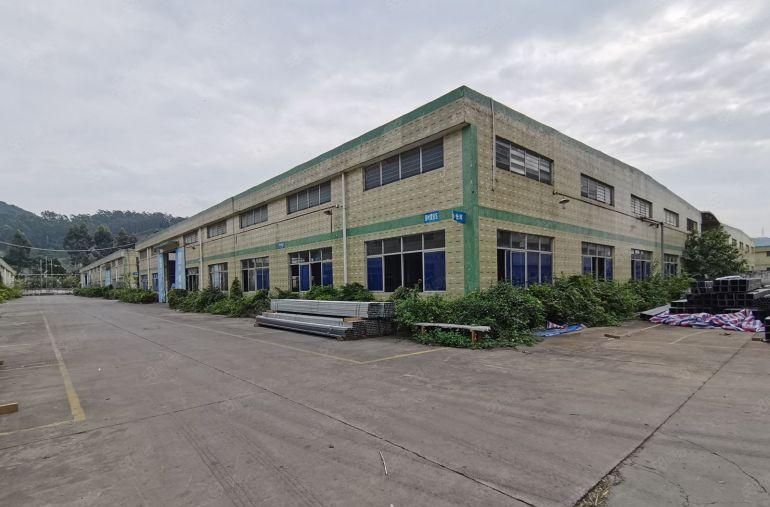 坂田杨美地铁口滴水8米钢构厂房出租2000平至5000平仓库