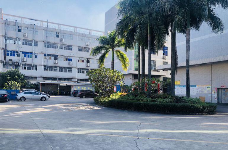 龙岗南联原房东科技园楼上1000平带装修前台办公室厂房出租