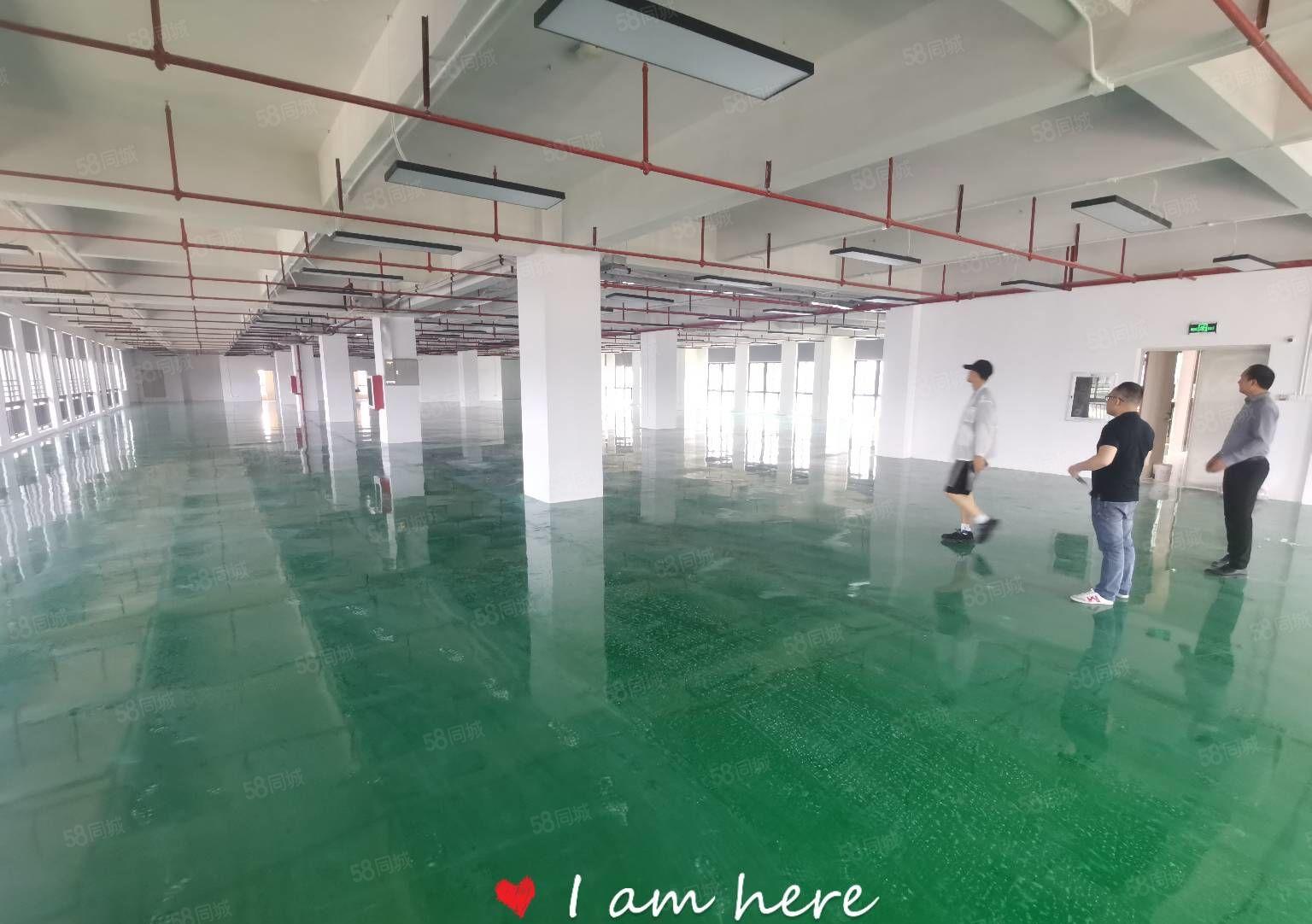 200平分租平湖高新科技园单层2000平研发办公厂房仓库出租