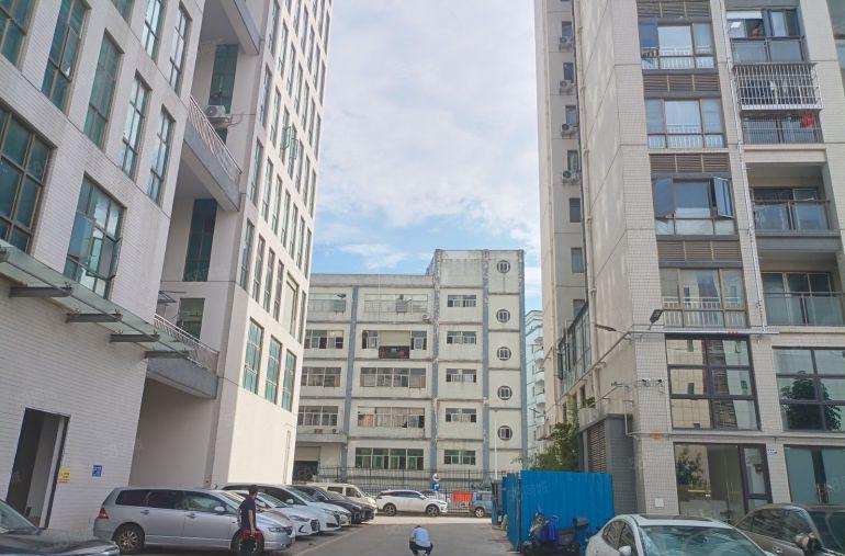 出租平湖辅城坳一楼500厂房平厂房出租仓库招租