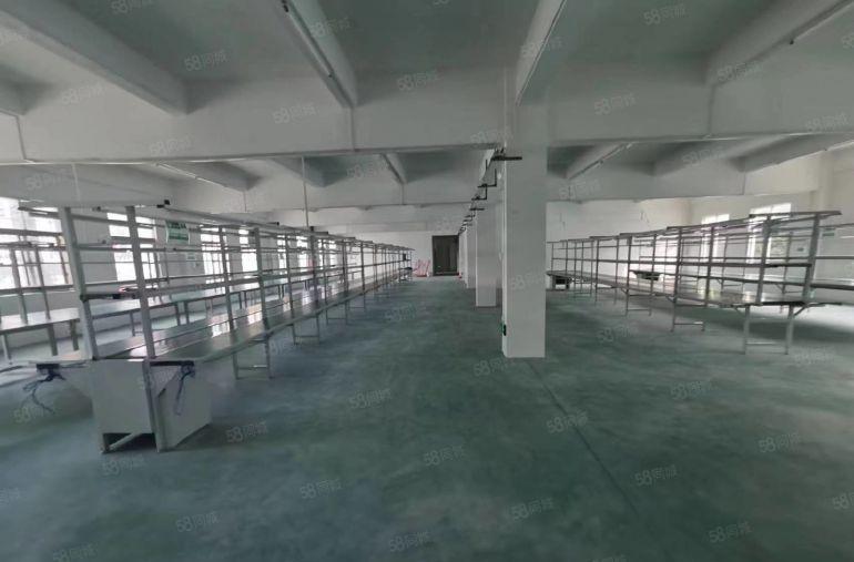 横岗荷坳1300平带现成流水线装修厂房面积