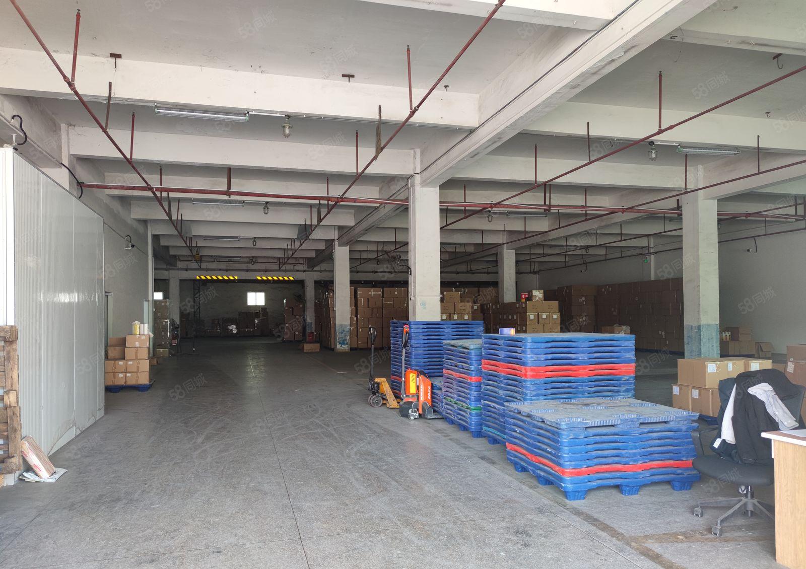 龙岗中心城机菏出口原房东独栋仓库厂房4000平方，可分租