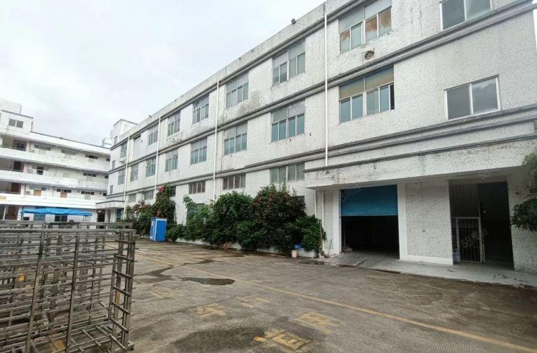 龙岗中心城原房东低价精选仓库一楼精装修500平方标准厂房出租