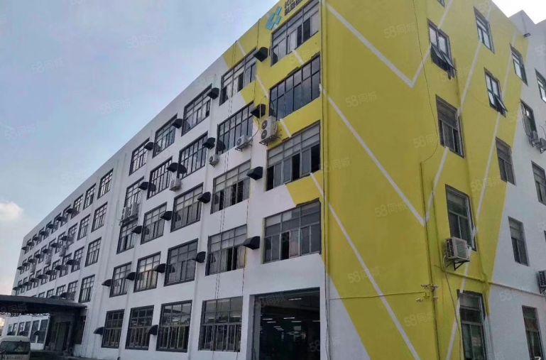 坂田雪象，新出一楼整层4800平，可分租，能进柜车，前后有门