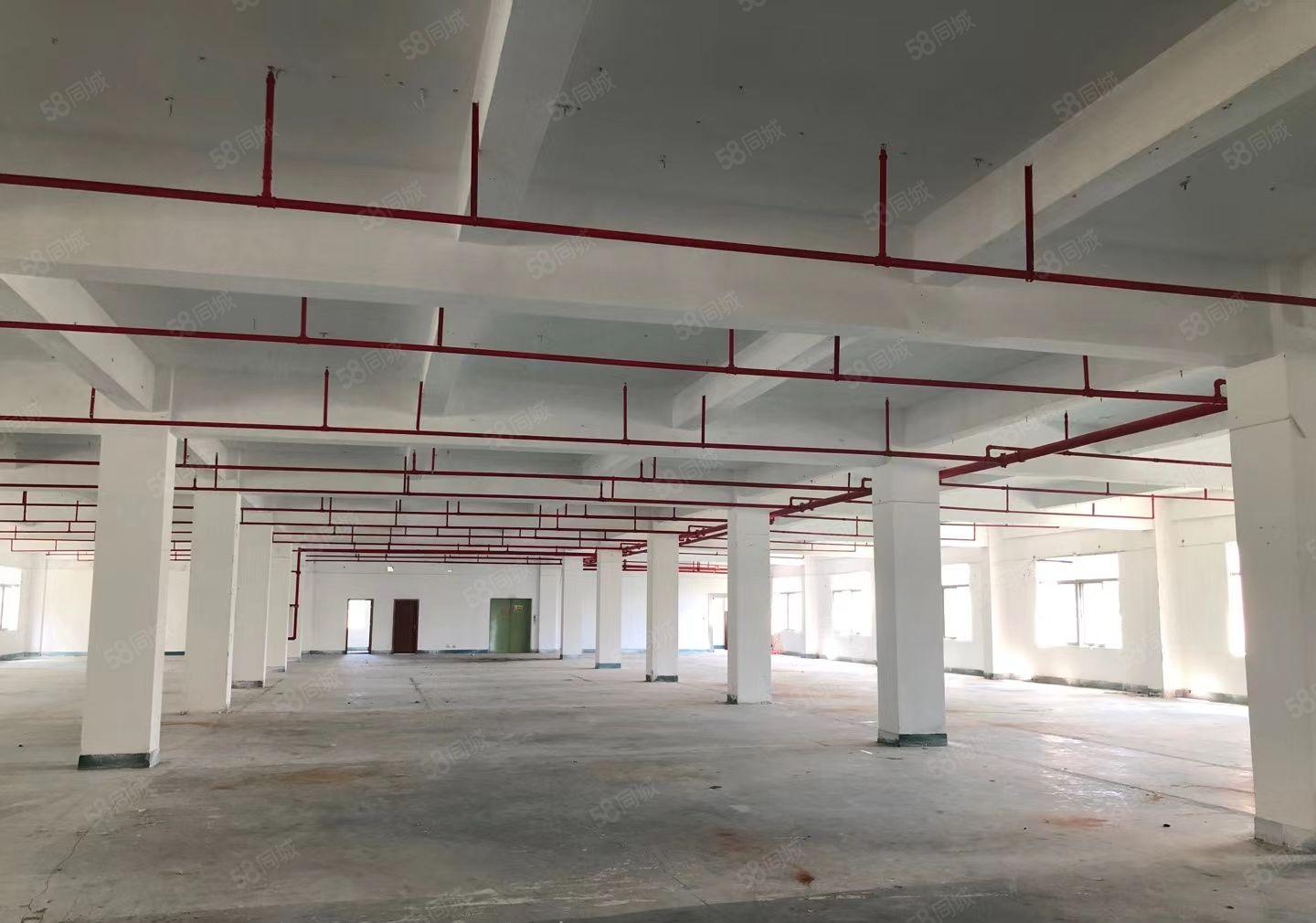 S龙岗中心城独院厂房8000平方，可以任意分租