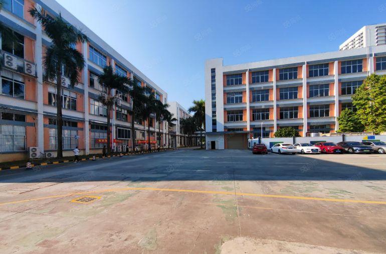 宝龙原房东科技园楼上1000平方精装修办公室厂房仓库出租