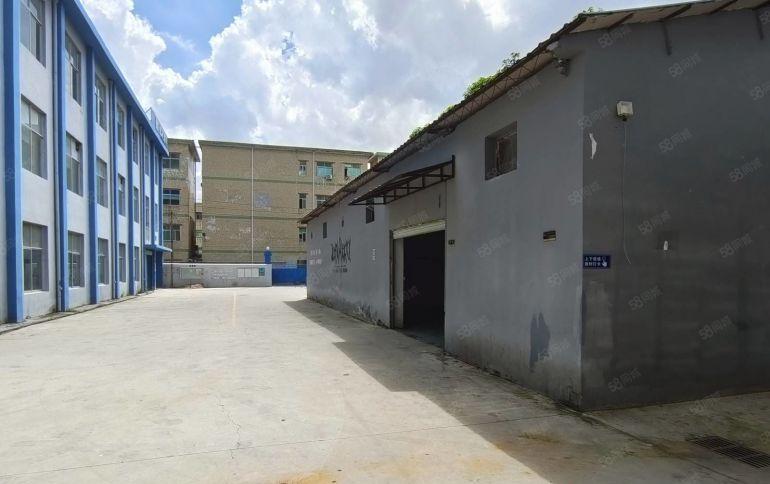 横岗荷坳空出一楼厂房500平方独栋钢构出租价格23元
