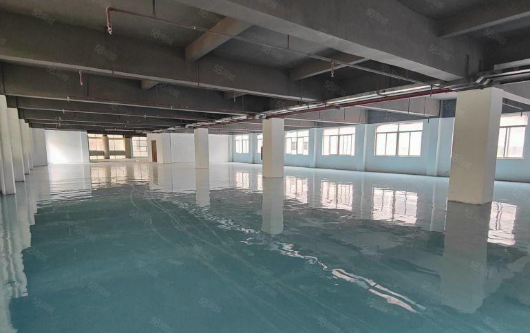 龙岗宝龙地铁口丨高新产业园一二楼2000平带装修厂房仓库出租