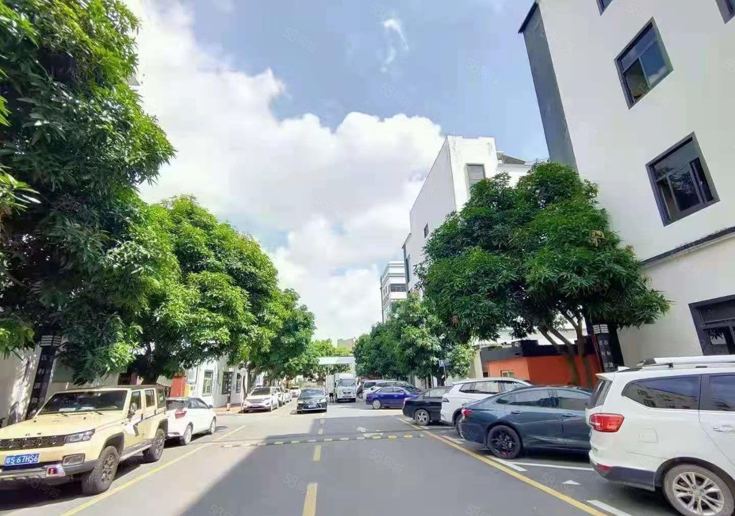 龙岗宝龙新出2000平米带装修厂房出租大小分租