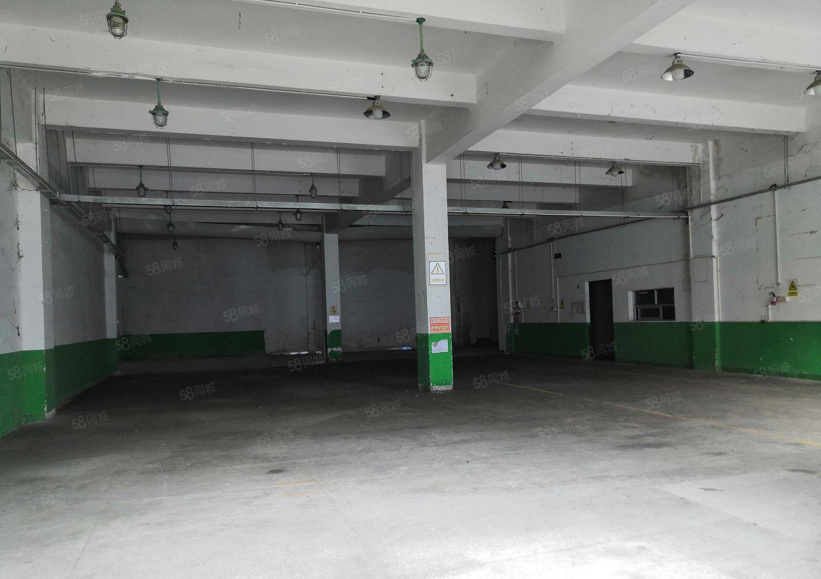 龙岗镇龙东厂房一楼580平方米价格25元宿舍按需好招工