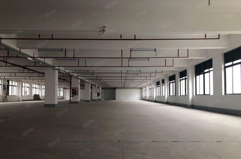 租！平湖鹅公岭新出独门独院7200平原房东红本厂房！