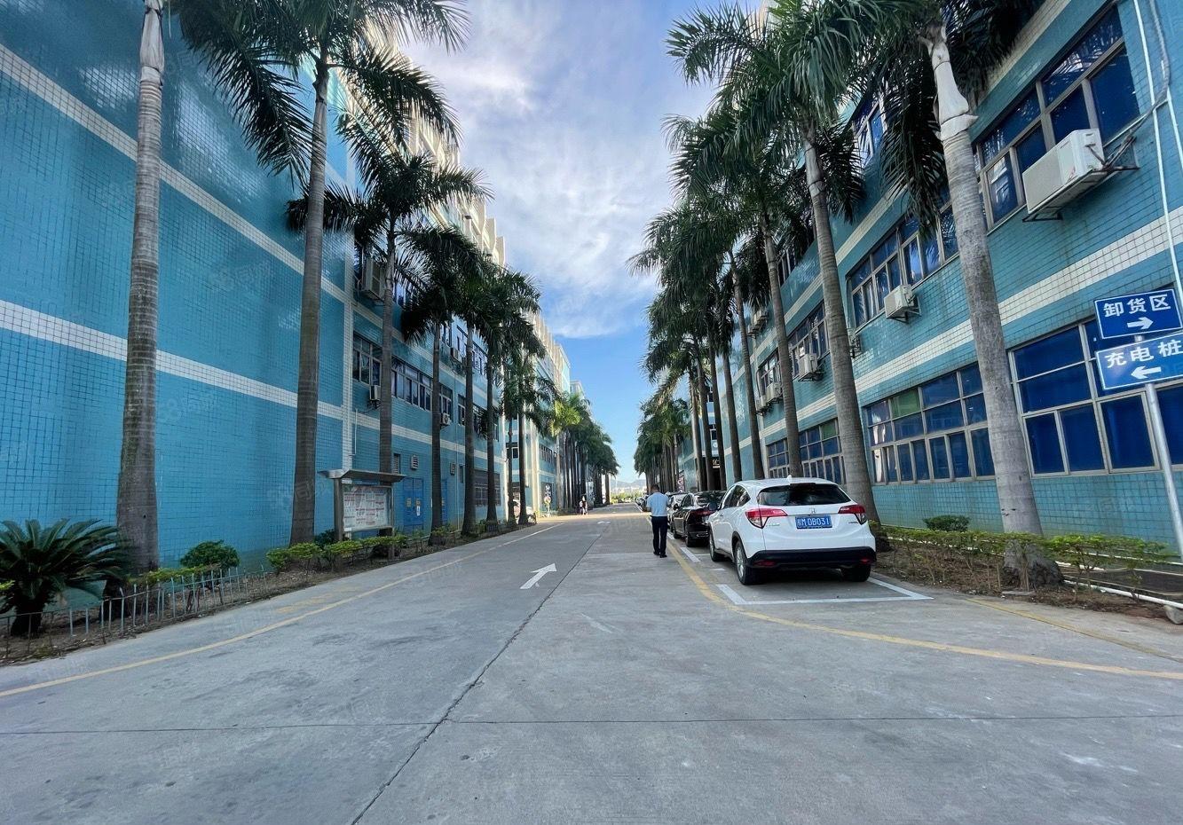 龙岗同乐社区1000平厂房出租，单层1000平可整租可分租