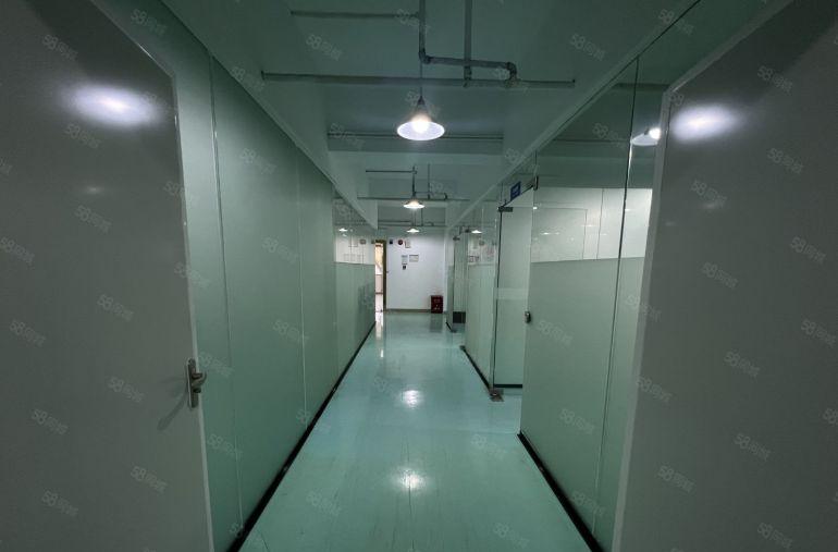 龙岗红本原房东含税实际面积无尘车间1000平方厂房出租带精装