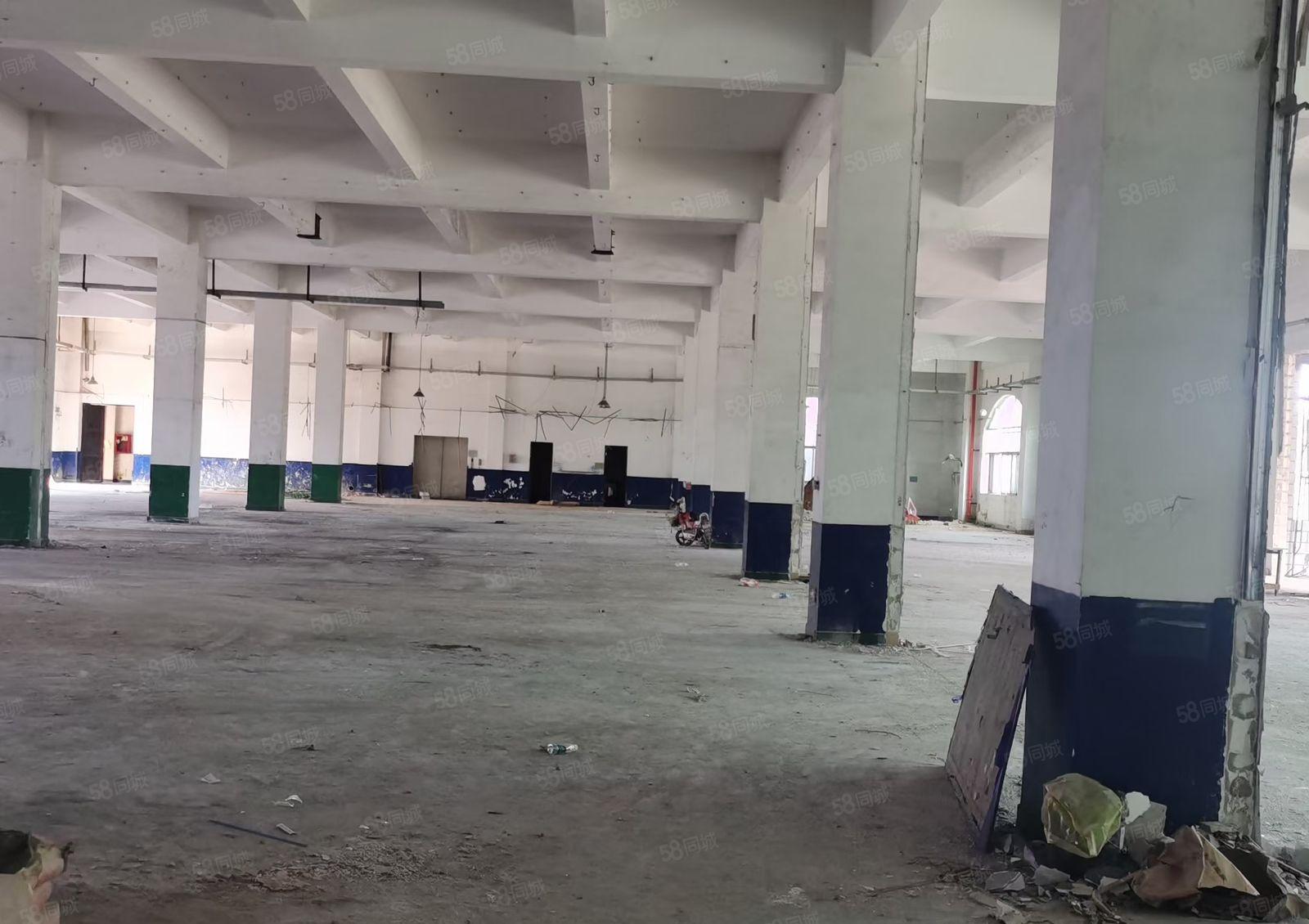 龙岗中心城独栋二栋厂房各6800m2一栋12500m2分租