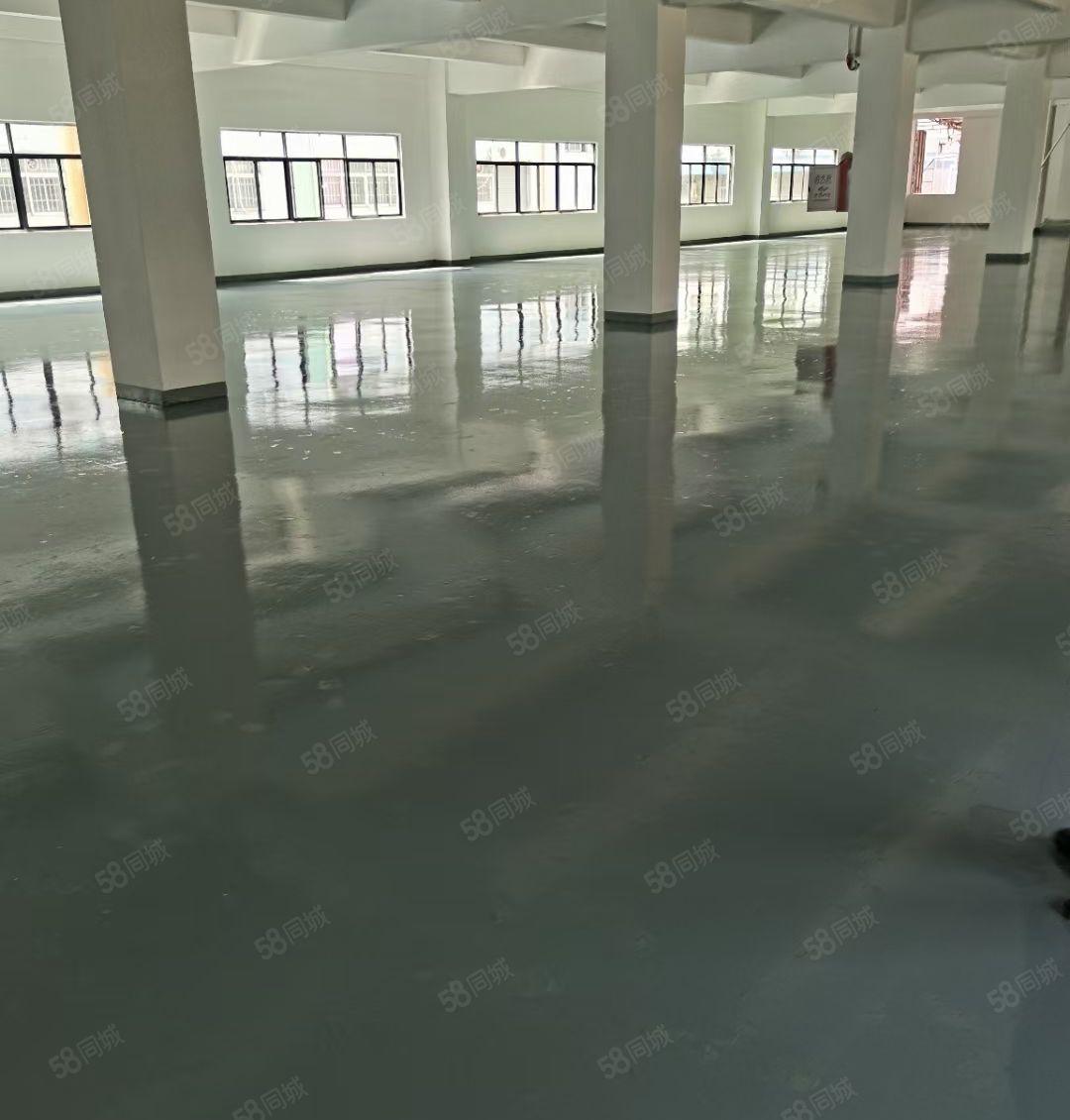 横岗安良3800平方独门独院出租空地大