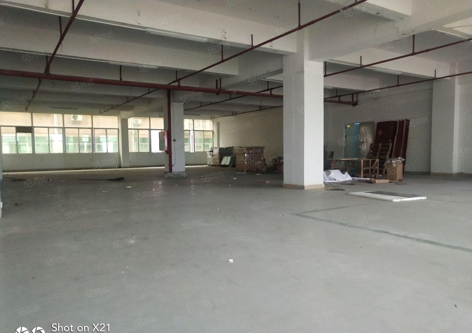 平湖白泥坑独院厂2700平米带冻库平米出租，可分900