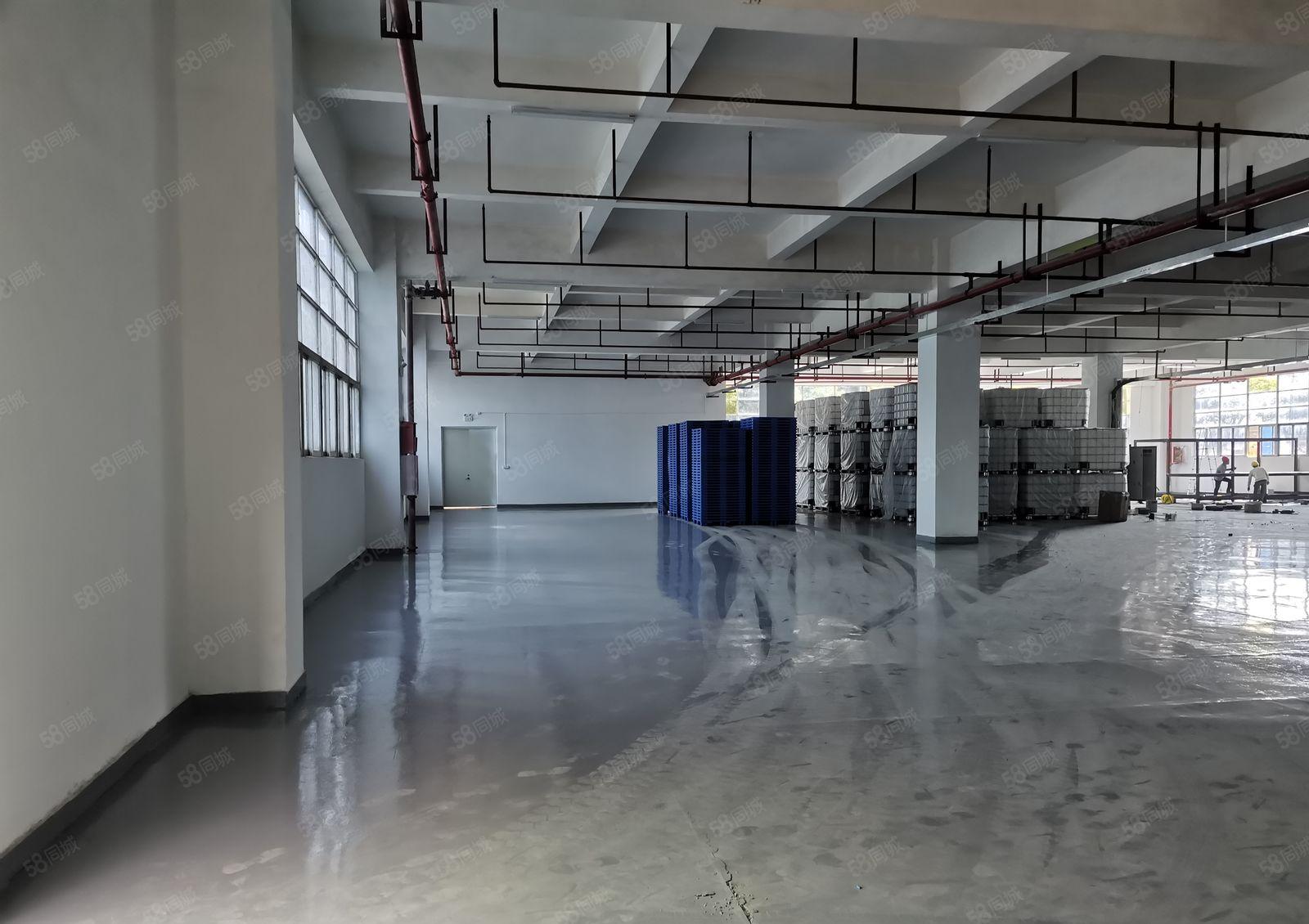 横岗六约工业区原房东红本1楼1000平带装修水电齐大小可分租