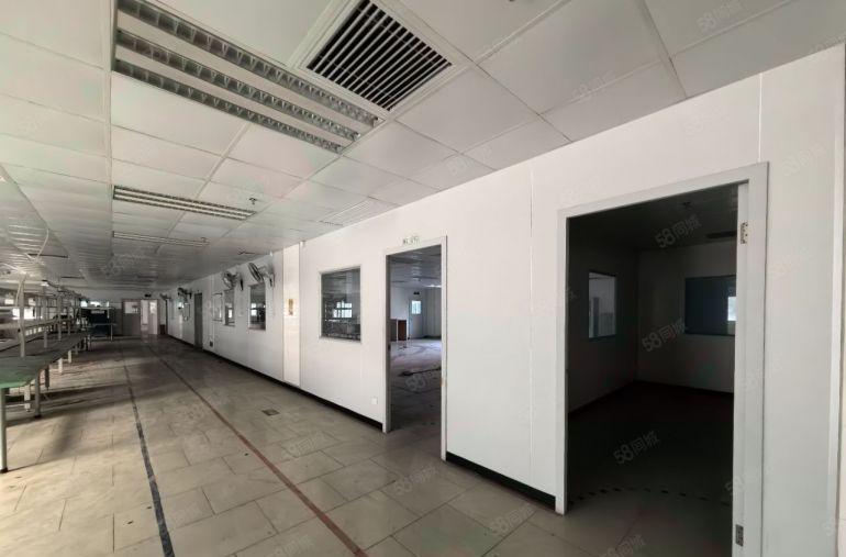 龙岗五联独门独院1000平出租，靠山环境清幽