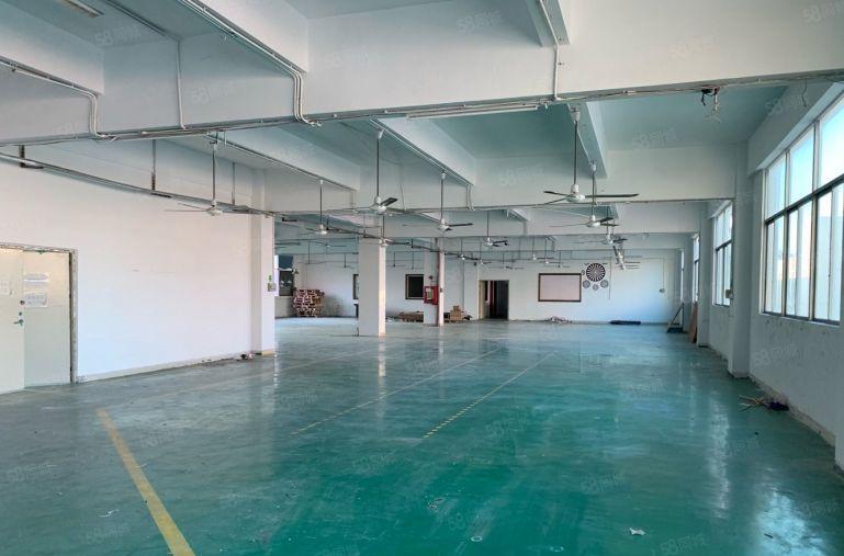 布吉李朗主干道1300平方原房东红本厂房急租！行业不限