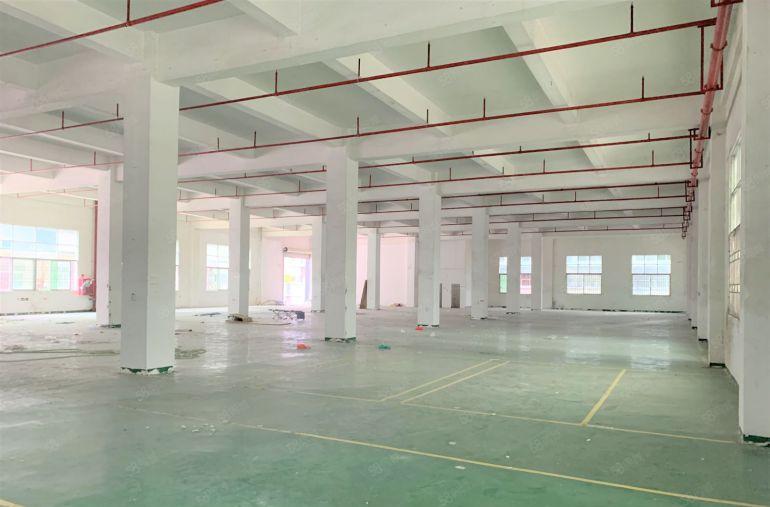 平湖禾花工业园独栋厂房9600平厂房仓库出租可分租水电齐全