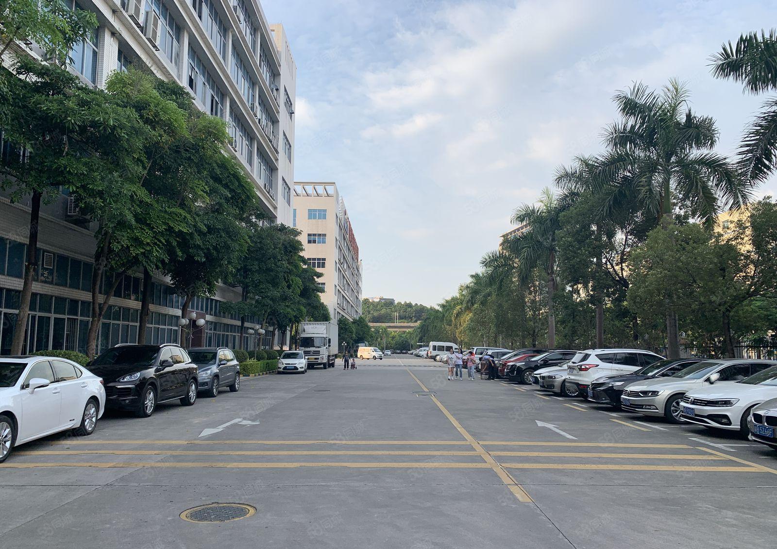 李朗  联创科技园 一手房东租赁 价格可商议 环境舒适