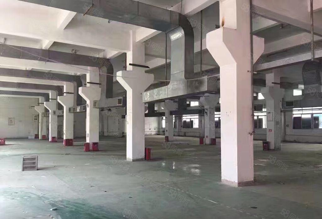 南联一楼厂房出租500平800平1500平五联龙西龙东同乐