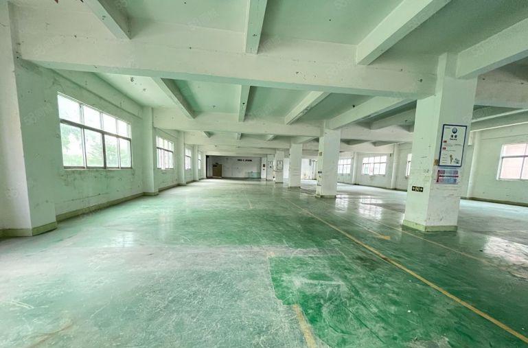 坂田实际面积厂房出租1300平原房东带红本