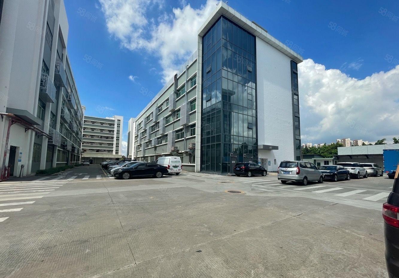 爱联主干道独门独院原房东厂房出租楼上1000平带精装修可分租