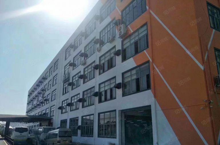 坂田雪象，新出一楼整层4800平，可分租，能进柜车，前后有门