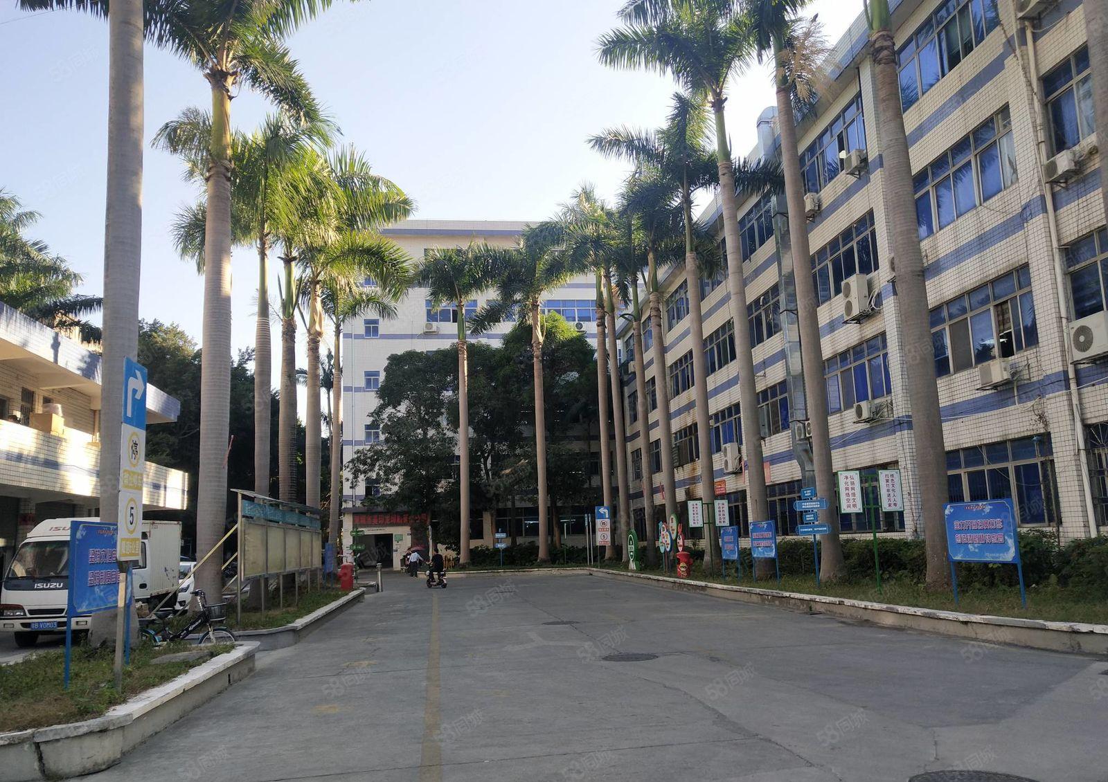 坂田原房东上雪工业园直租办公仓库厂房出租1000平可整租分租