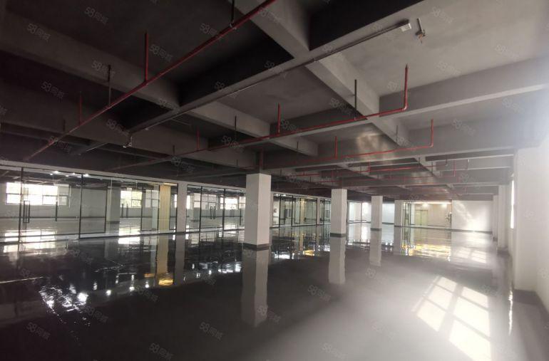 100平起租坂田地铁口旁电商园1850平独栋仓库办公室出租